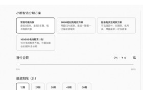 小鹏融资租赁公司注册资本翻番，达2.5亿美元